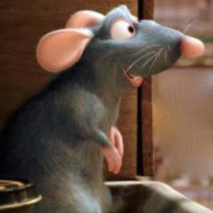 Meet your Posher, Bella